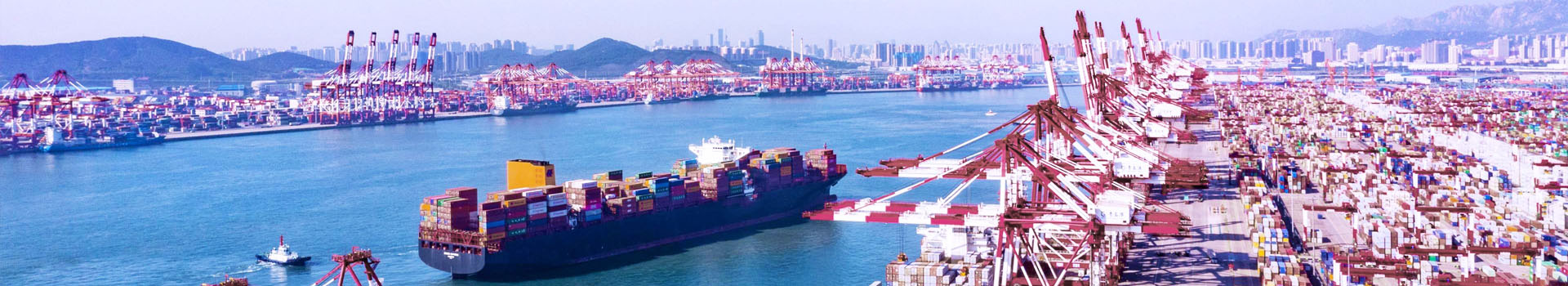 起重鋼板鉗報(bào)廢標(biāo)準(zhǔn)有哪些_常見(jiàn)問(wèn)題_起重鉗,鋼板起重鉗,吊裝鉗,鋼板鉗,起重吊裝鉗-辰力集團(tuán)有限公司