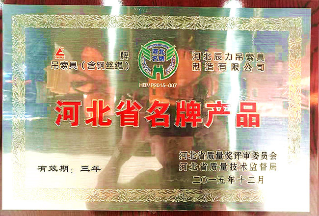 辰力集團(tuán)榮譽資質(zhì)：河北省***產(chǎn)品